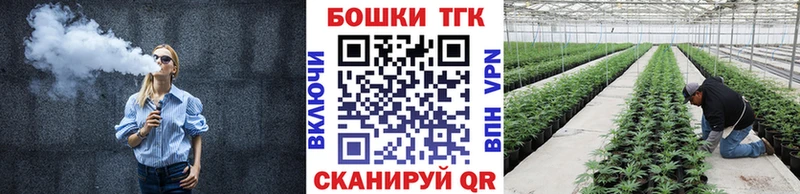 Канабис Amnesia  где купить наркоту  гидра ONION  Снежногорск 